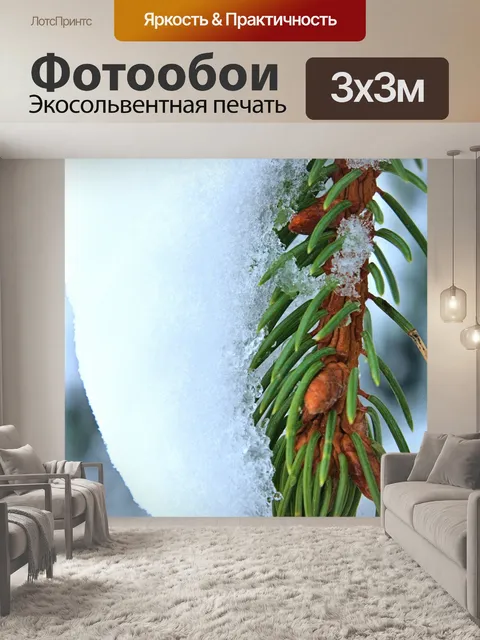 Фотообои Еловая ветка