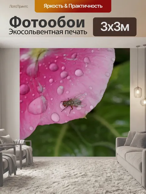 Фотообои Летать