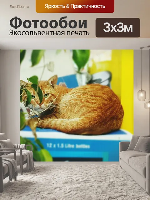 Фотообои Кошка