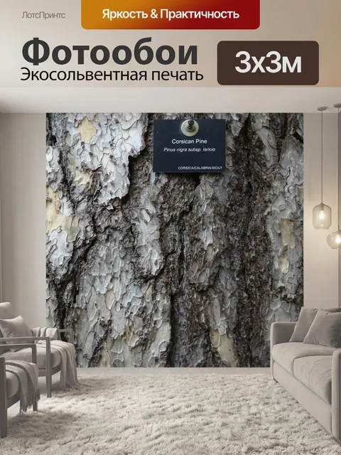 Фотообои Корсиканского Pine Tree Bark