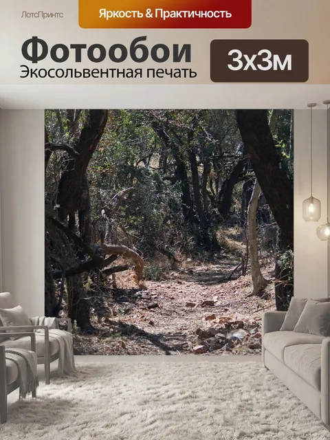Фотообои солнечный свет на пешеходной тропе