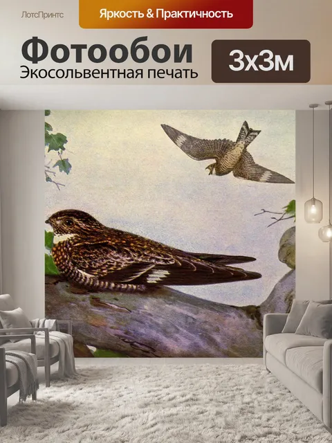 Фотообои Винтажная картина с птицами Nighthawk