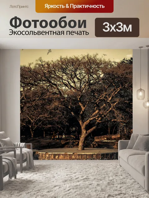 Фотообои Птицы