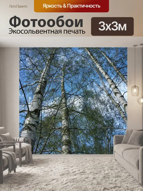 Фотообои Березы