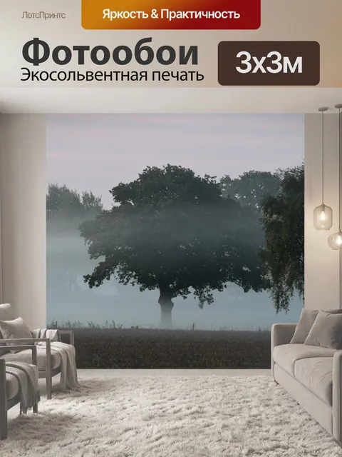 Фотообои Туман