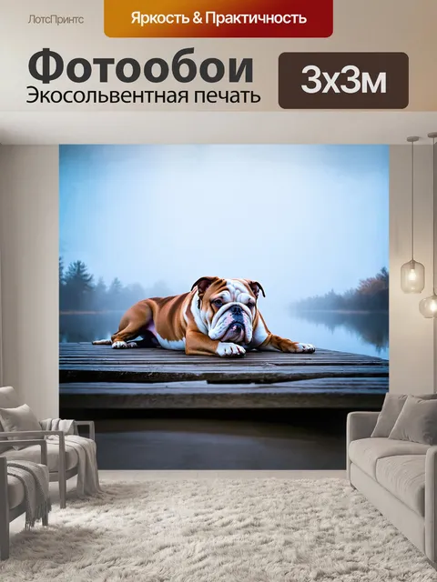 Фотообои бульдог лежит на деревянном причале