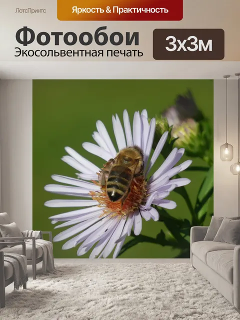 Фотообои Пчелы
