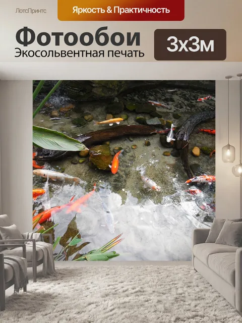 Фотообои Красочные рыбы