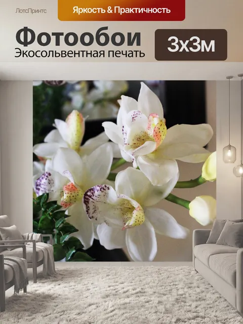 Фотообои белых орхидей