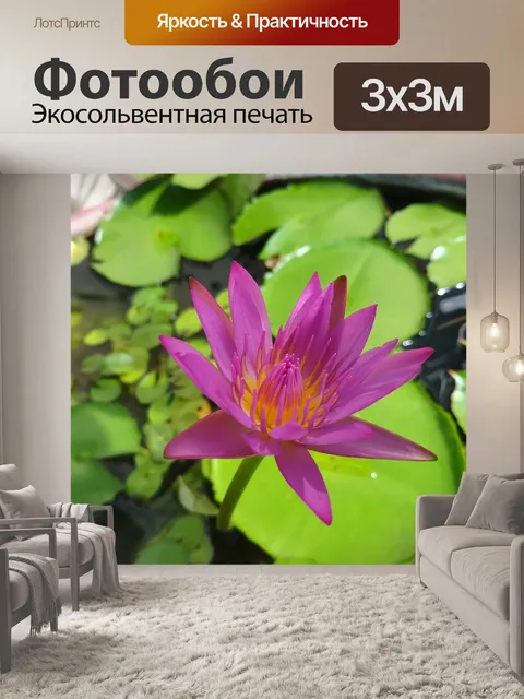 Фотообои Цветок