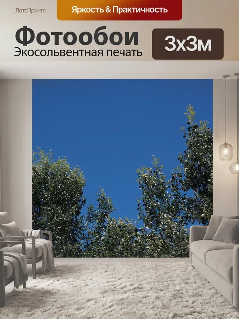 Фотообои Деревья