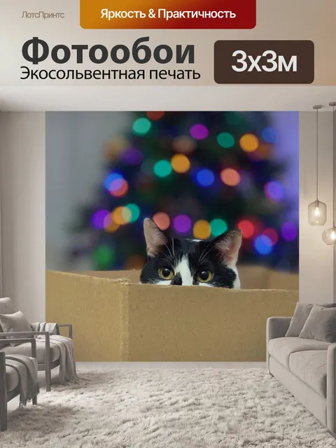 Фотообои Кошка