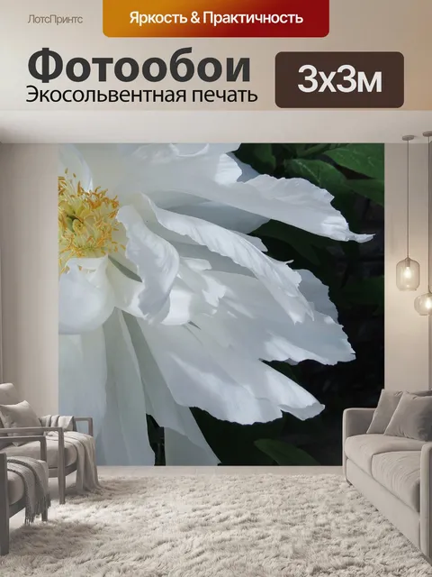 Фотообои Белый пион
