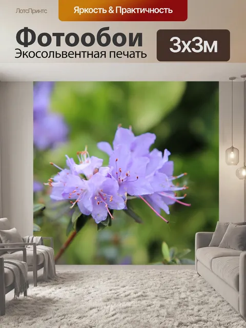 Фотообои Азалия