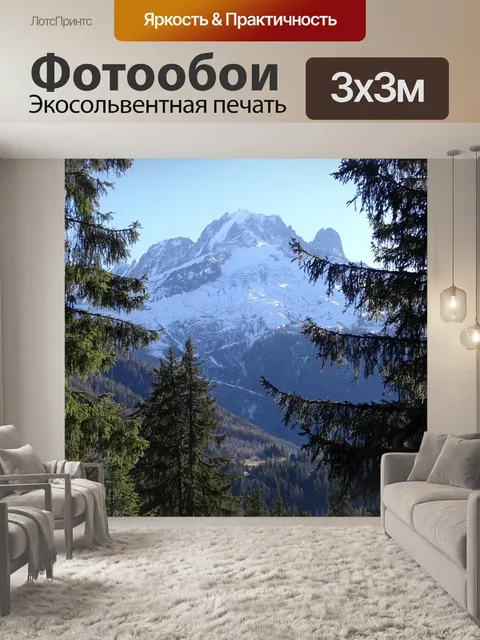 Фотообои Вид