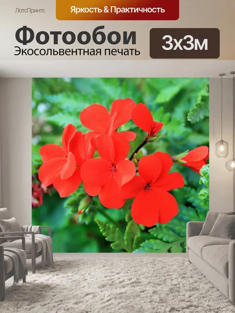 Фотообои Красный цветок герани