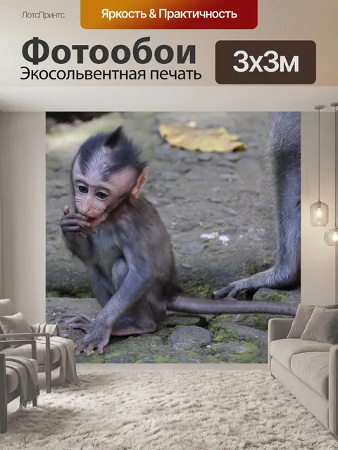 Фотообои Бали