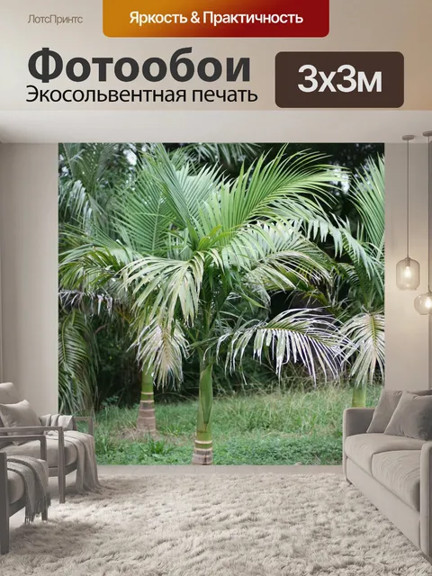 Фотообои Молодые гигантские пальмы