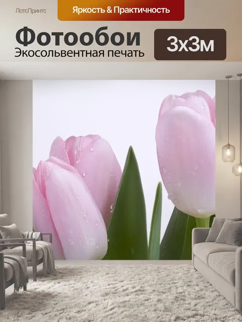 Фотообои Тюльпаны