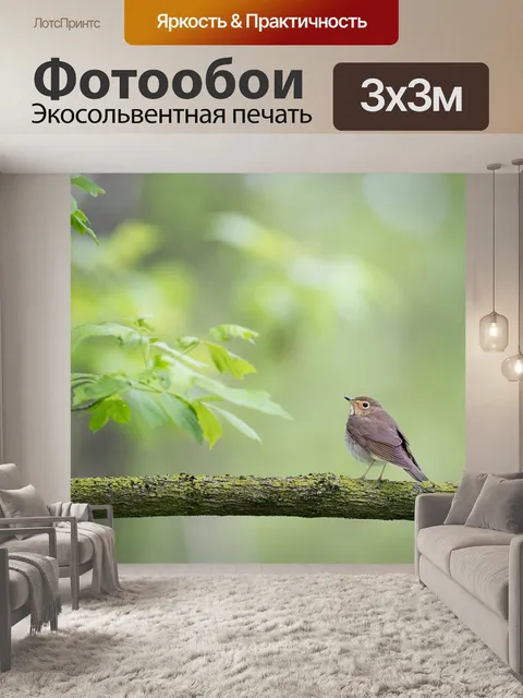 Фотообои Животное
