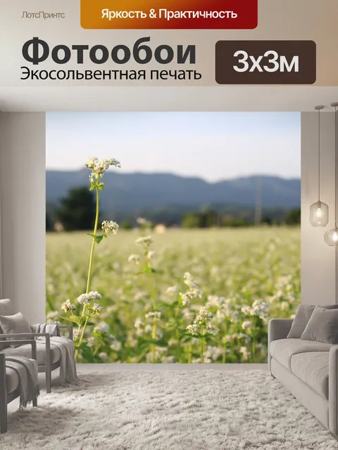 Фотообои Цветок