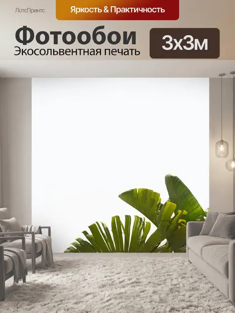 Фотообои Пальма