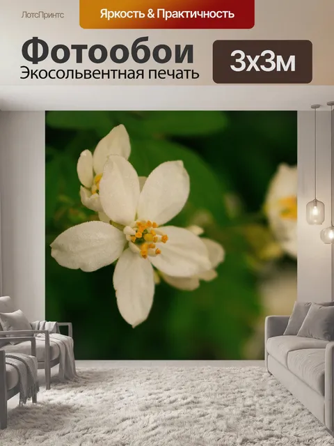 Фотообои Природа