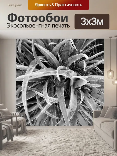 Фотообои Вид сверху растения алоэ вера