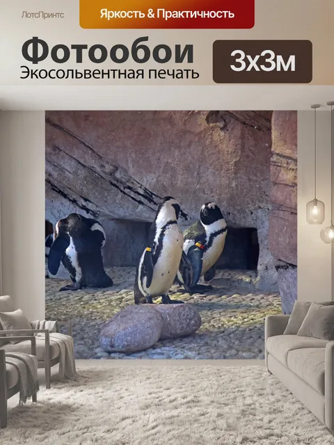 Фотообои черно-белые овасские пингвины