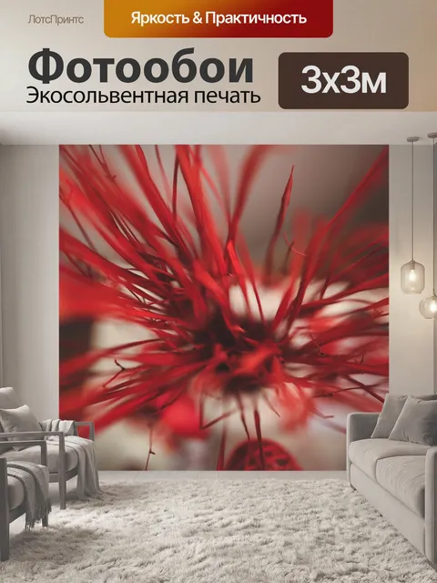 Фотообои Красный