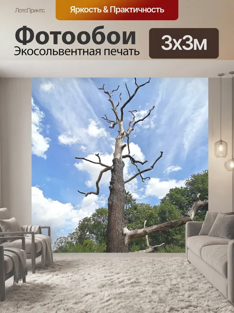 Фотообои Древесина