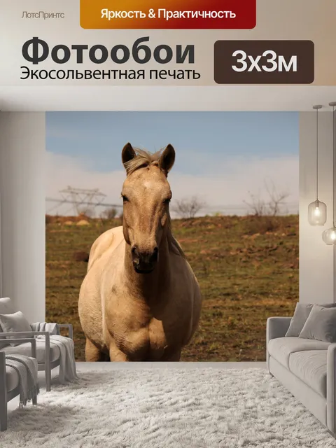 Фотообои вид светлой лошади
