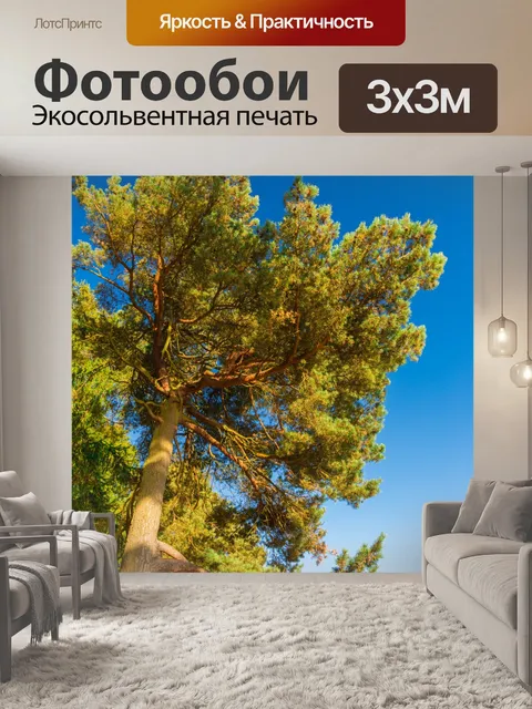 Фотообои Сосновое дерево и голубое небо