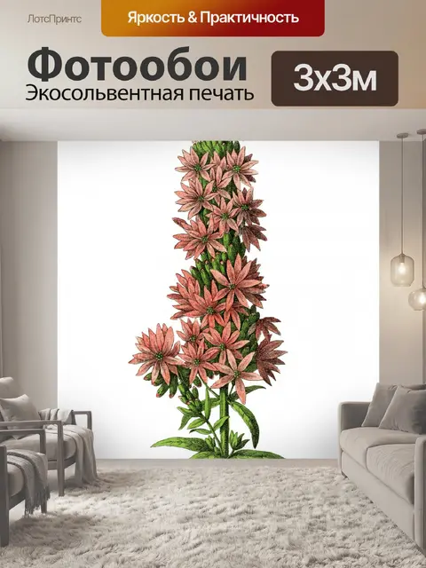 Фотообои Цветы клипарт графический рисунок
