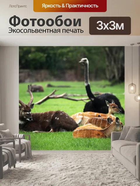 Фотообои Африка