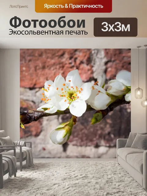Фотообои Расцветает
