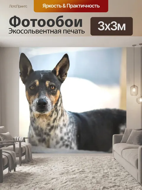 Фотообои Собака