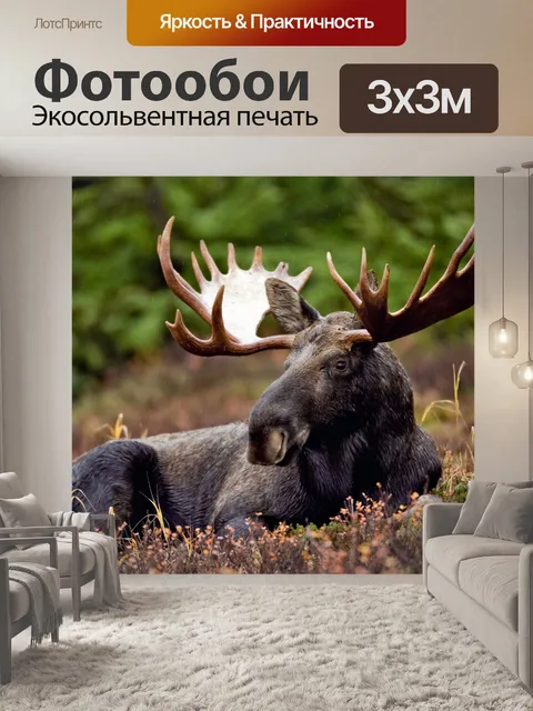 Фотообои Лось Россия