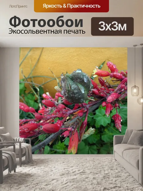 Фотообои Капли дождя на цветочной ветке