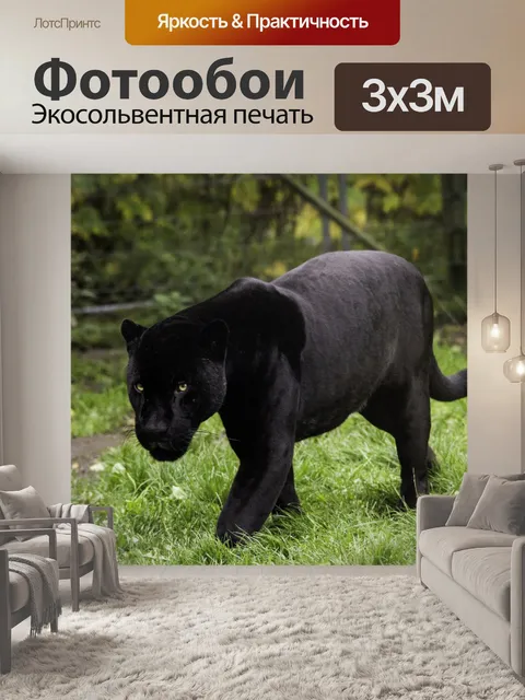 Фотообои пантера