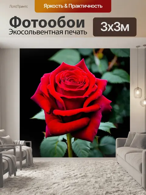 Фотообои розы в стиле кинематографический, энерджетический контраст между красным и черным, зрелищная композиция