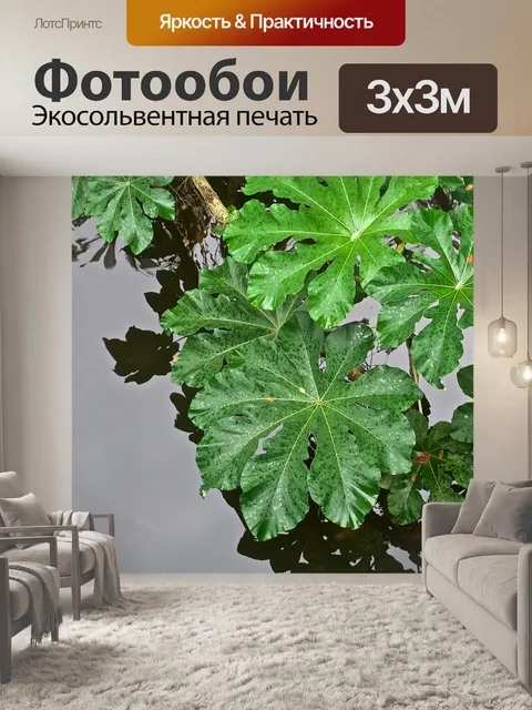 Фотообои Листья