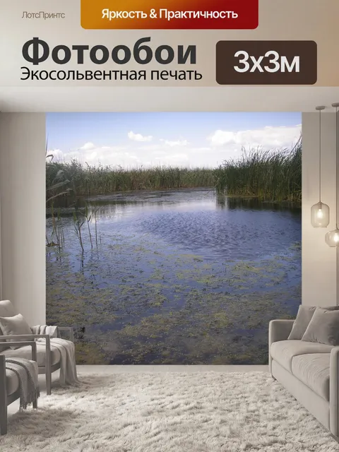 Фотообои Тростник