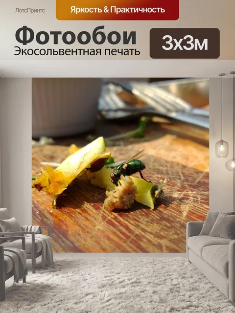 Фотообои Макрос выстрел из мухи