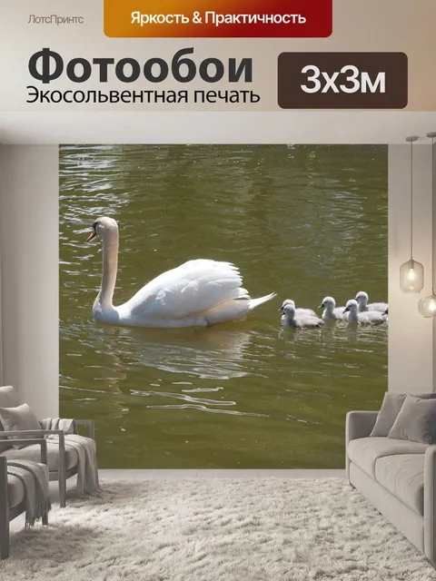 Фотообои Мама-лебедь плавает со своими детенышами
