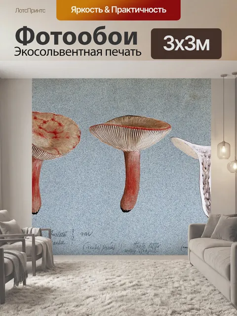 Фотообои Винтажная иллюстрация чемпиона грибов