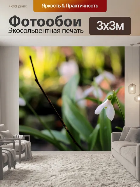 Фотообои Подснежник