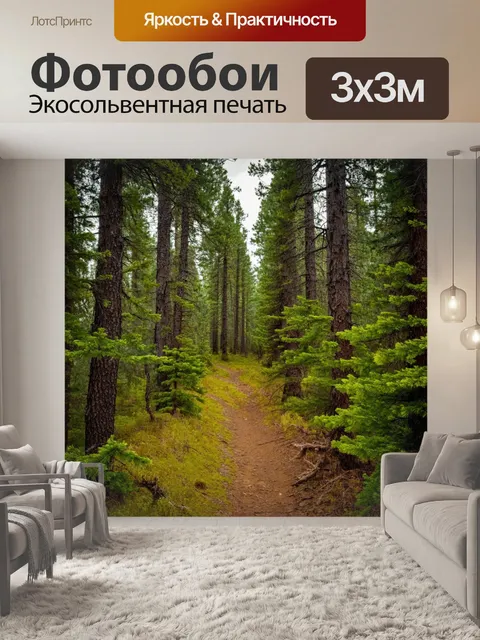 Фотообои тропа через сосновый свежий воздух, благоухание сосен