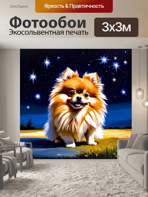 Фотообои очаровательный померанский шпиц, смотрящий на звезды ночью, на фоне ясного небосклона