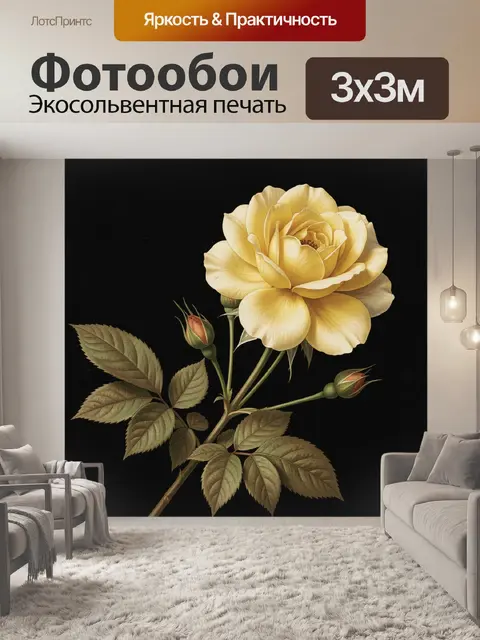 Фотообои Жёлтая роза на чёрном фоне